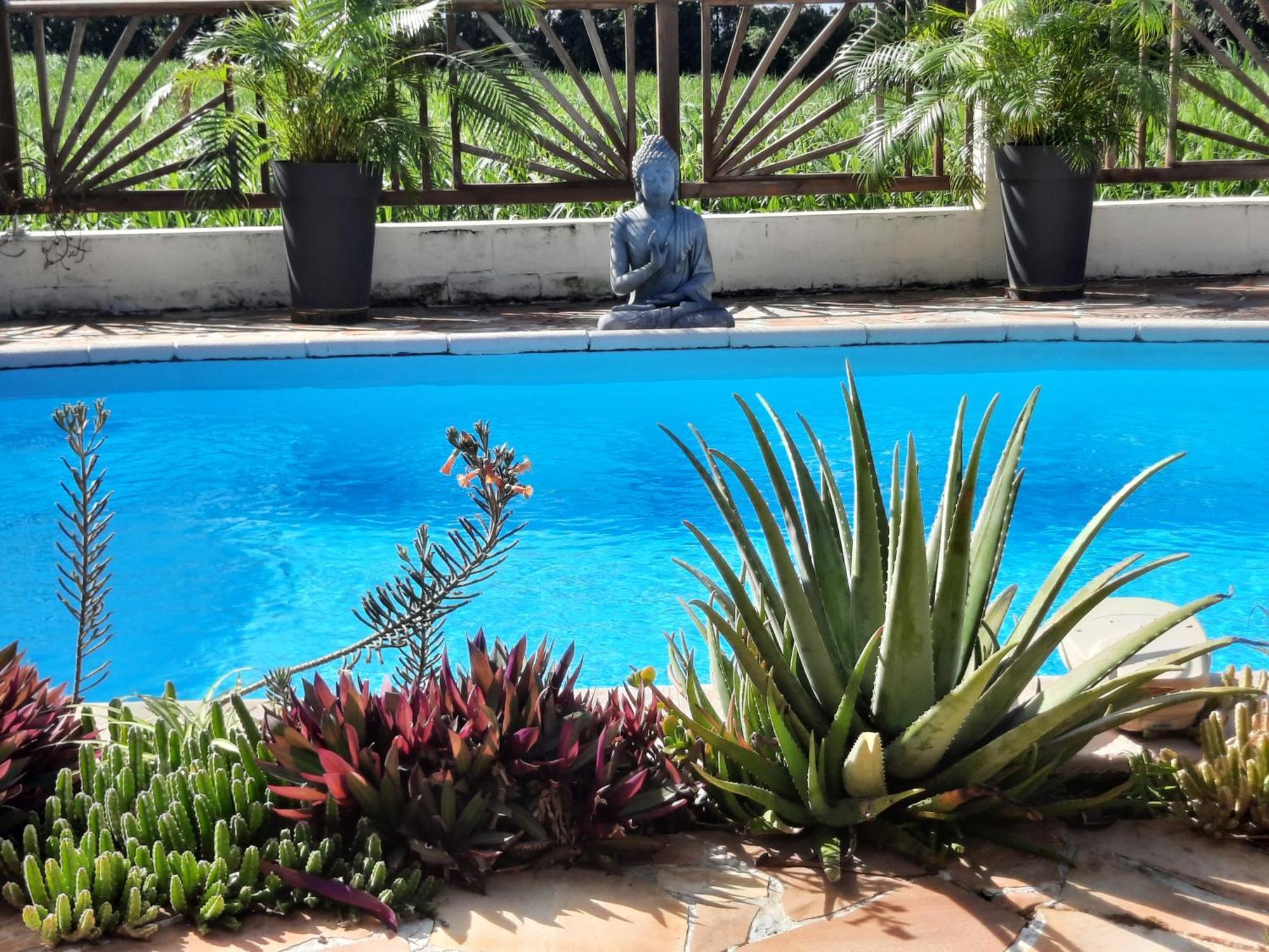 Joli Appartement, Piscine, Jacuzzi Sainte-Suzanne Exterior foto